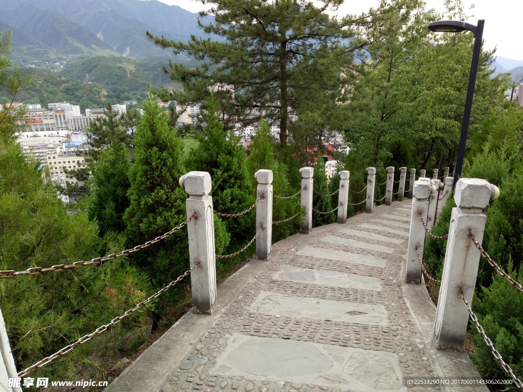 绿色风景