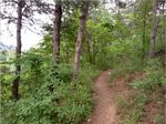 山间小路