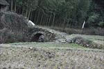 田园小桥