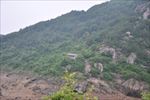 田园山水