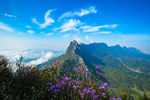 灵山龙脊山花艳