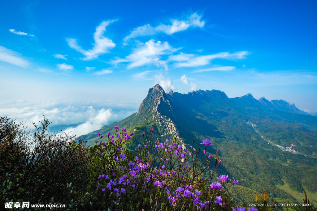 灵山龙脊山花艳