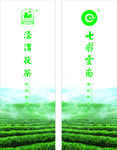 绿色 美观 高端 茶叶 海报