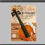 大提琴 小提琴 封面封底图片