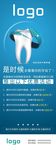 牙齿展架