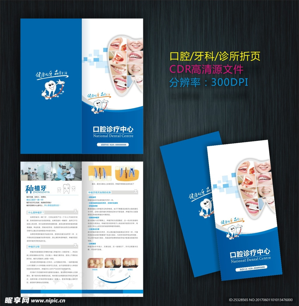 牙科折页