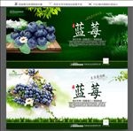 蓝莓