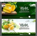 杨桃