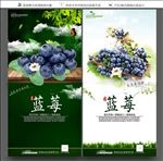 蓝莓