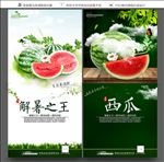 西瓜海报