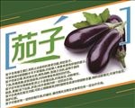 茄子简介 蔬菜简介 水果简介