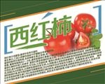 西红柿简介 蔬菜简介 水果简介