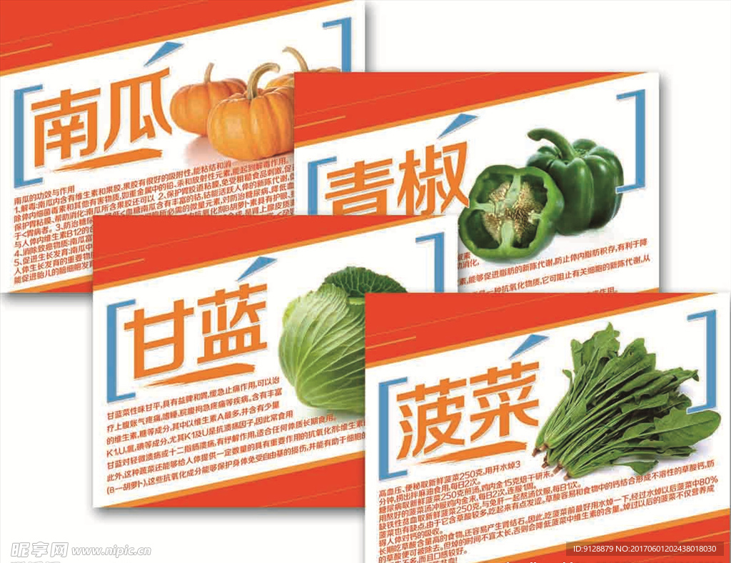 南瓜简介 菇娘简介 油麦菜简