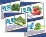 草莓简介 蔬菜简介 水果简介