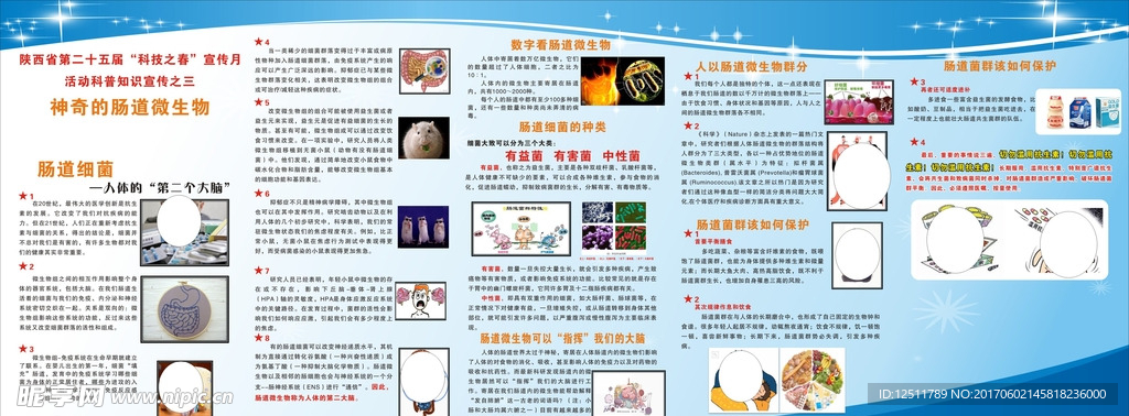 肠道细菌宣传