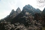 黄山