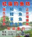 红庙钓鱼坊