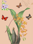 简欧花卉装饰画