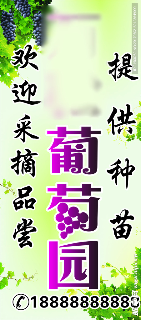 葡萄园灯箱