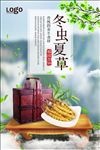 冬虫夏草宣传海报