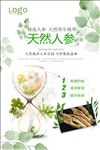 人参宣传海报设计
