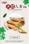 人参宣传海报设计