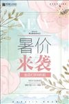 简约风格暑价来袭促销海报