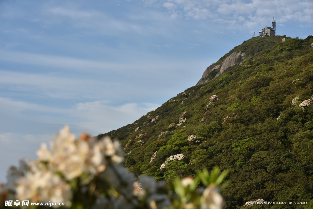 山