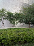 城市建筑
