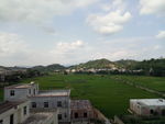 乡村田野