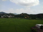 乡村田野