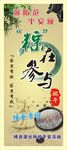棕在参与