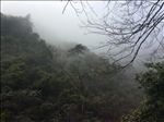 黄山美景
