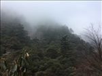 黄山美景