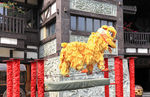舞狮表演