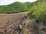 乡间小路