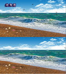蓝天白云大海流水雁飞翔视频