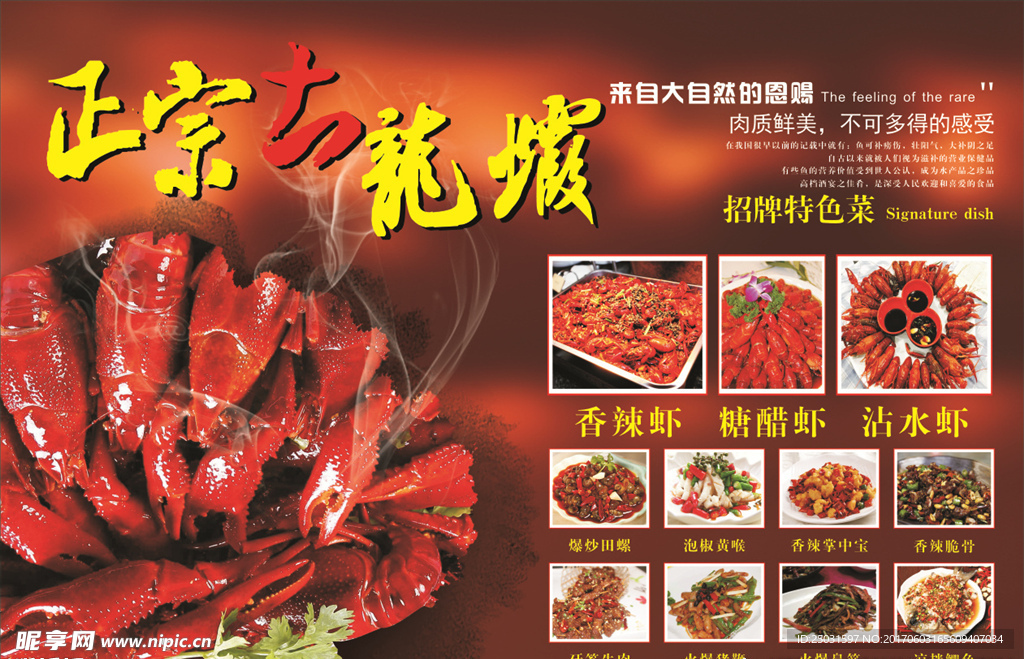 正宗土龙虾
