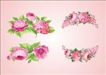 美丽花边