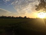 夕阳 麦田