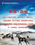 企业展板 公司展板 企业文化