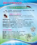 爱卫宣传栏