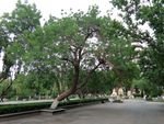 北宁公园