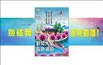 小心碰头
