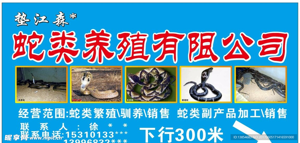 蛇类养殖