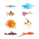 海洋生物