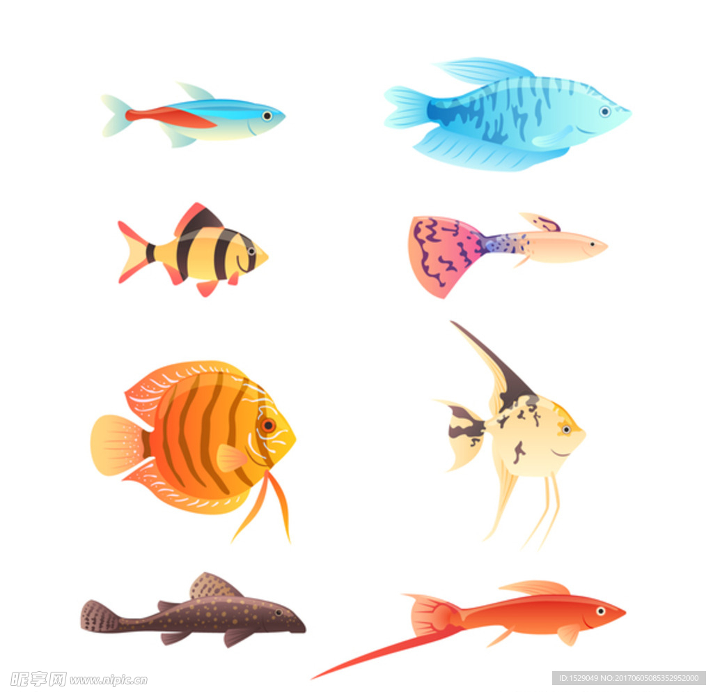 海洋生物
