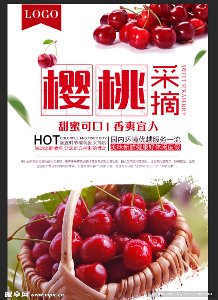 樱桃采摘
