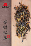 古树红茶