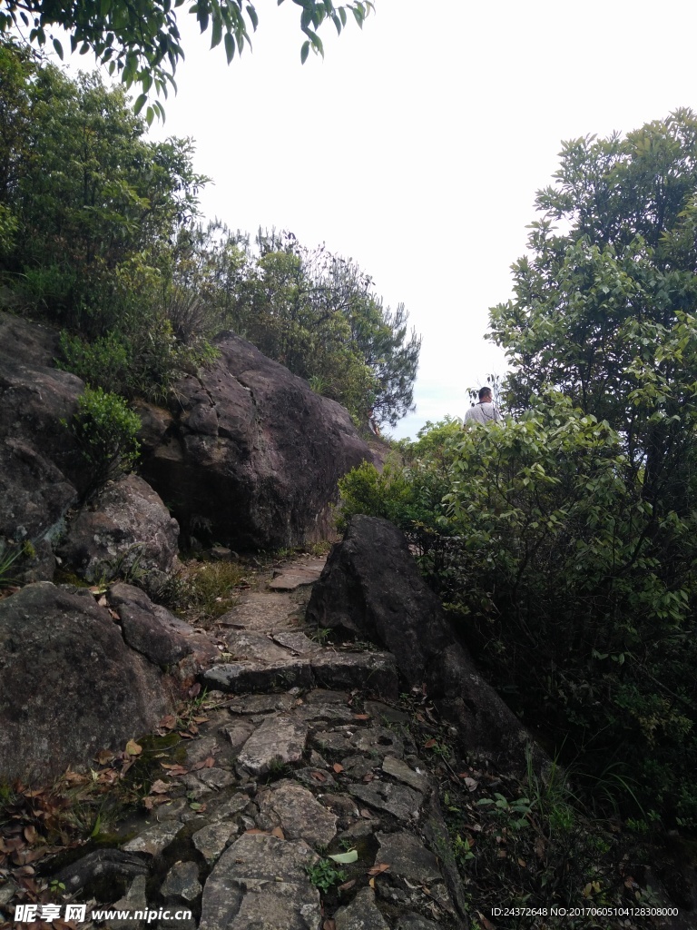 风景图片